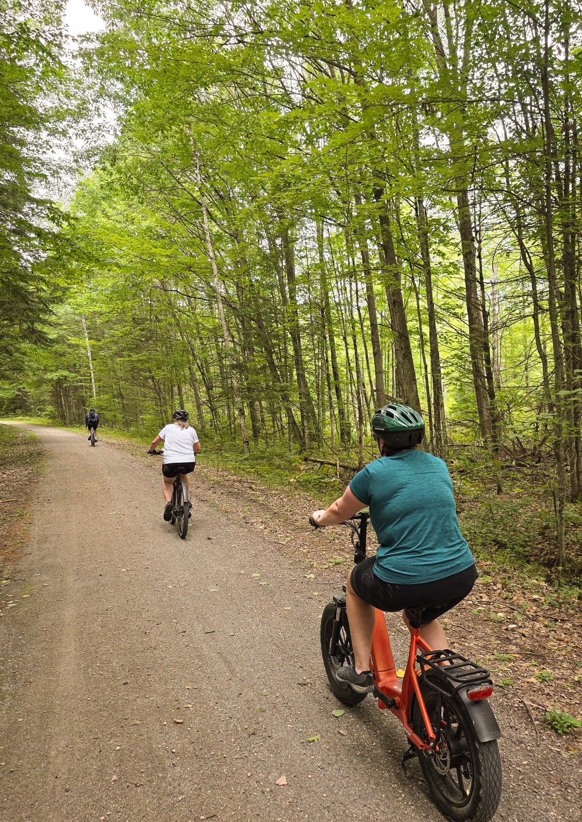 E-Bike Rental – Explore the Pontiac & Cyclopark PPJ