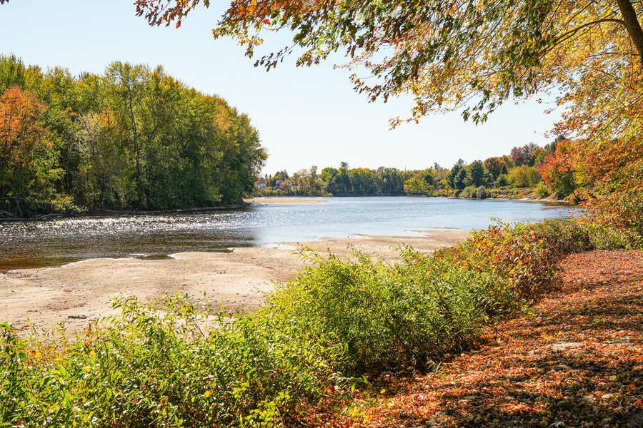 Glamping Tent, Riverside