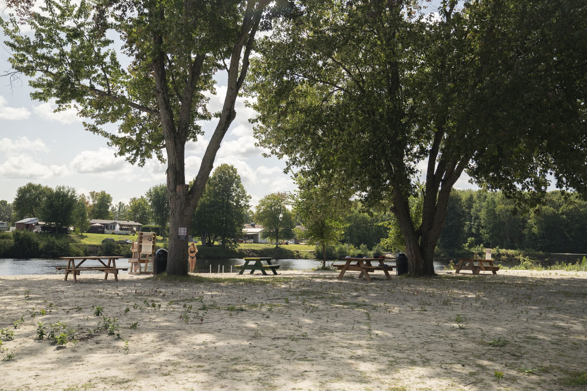 The campground beach with picnic tables under shade trees beside the river